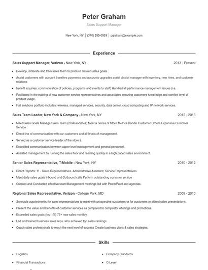 Resume example 1