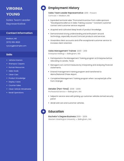Sales Team Leader Representative Resume
