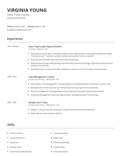 Sales Team Leader Representative Resume