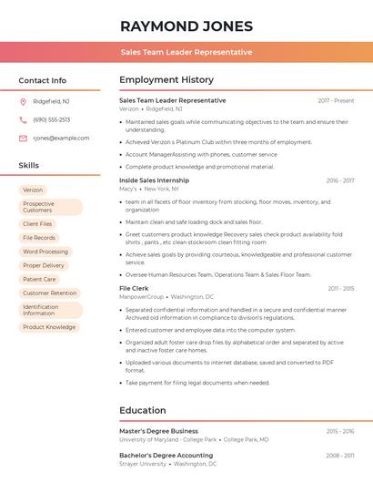 Sales Team Leader Representative Resume