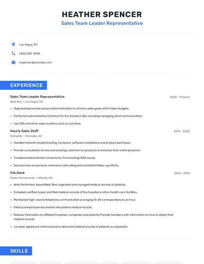 Sales Team Leader Representative Resume