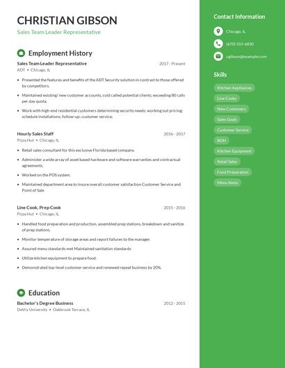 Sales Team Leader Representative Resume