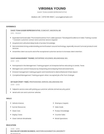 Sales Team Leader Representative Resume