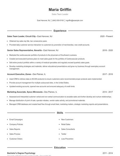 Resume example 1