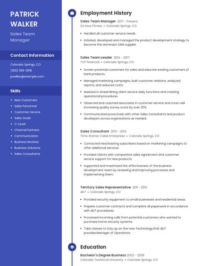 Sales Team Manager Resume