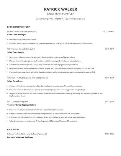 Sales Team Manager Resume