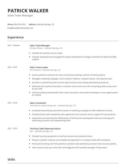 Sales Team Manager Resume