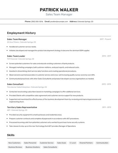 Sales Team Manager Resume