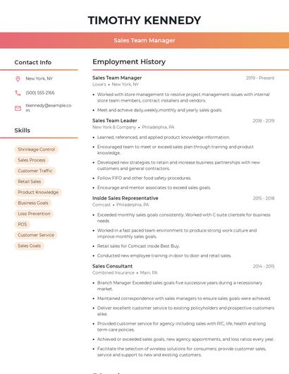 Sales Team Manager Resume