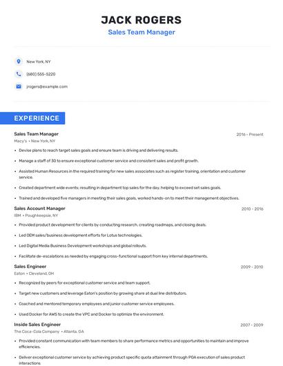 Sales Team Manager Resume