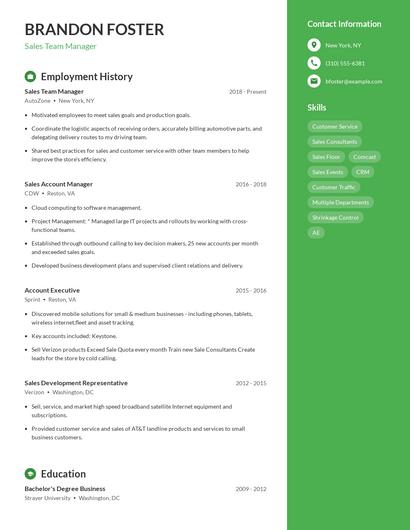 Sales Team Manager Resume