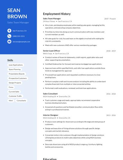 Sales Team Manager Resume