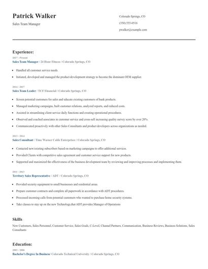 Sales Team Manager Resume