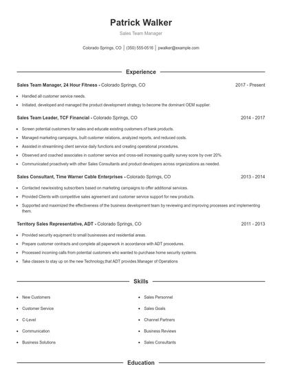 Sales Team Manager Resume