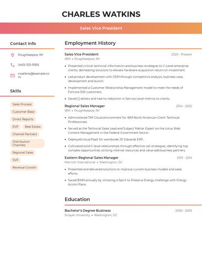Sales Vice President Resume