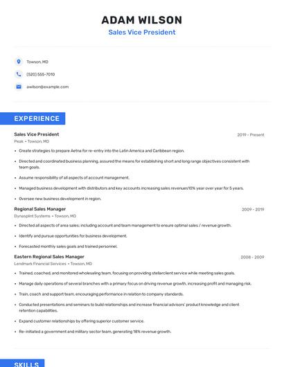 Sales Vice President Resume