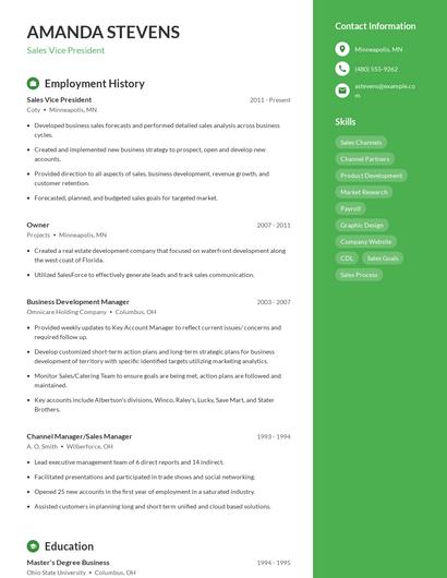 Resume example 4