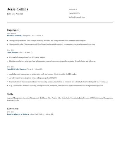 Sales Vice President Resume