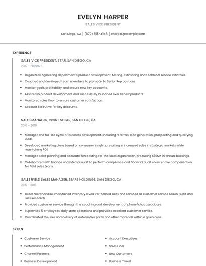 Sales Vice President Resume