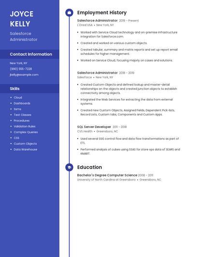Resume example 4