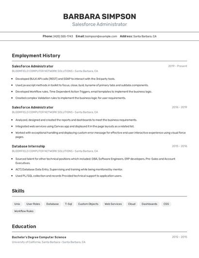 Resume example 2