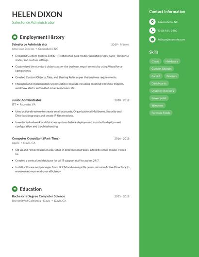 Resume example 5