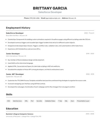 Resume example 2