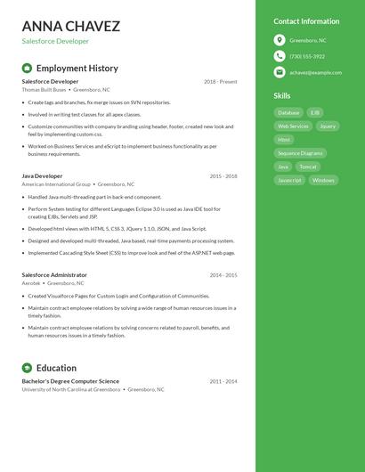 Resume example 5