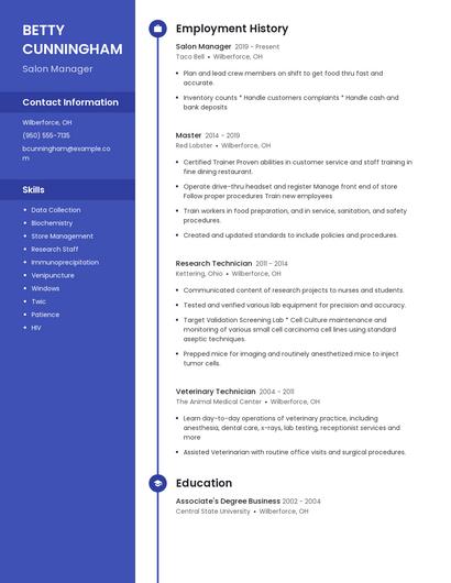 Resume example 5