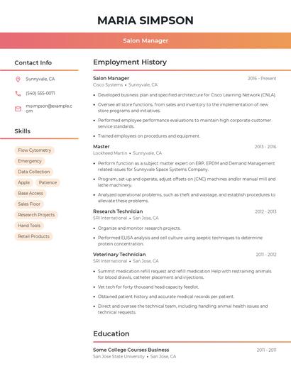 Resume example 3