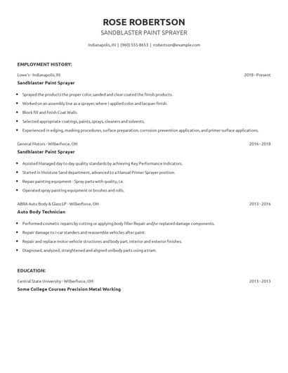 Sandblaster Paint Sprayer Resume