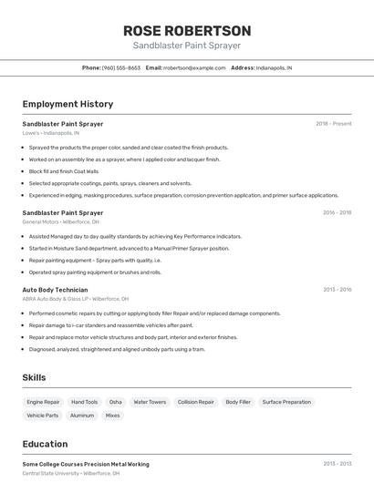 Sandblaster Paint Sprayer Resume