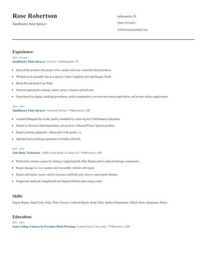 Sandblaster Paint Sprayer Resume