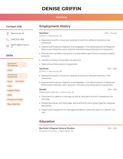 Resume example 3