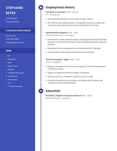 Resume example 5