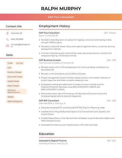 Resume example 3