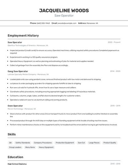 Resume example 2