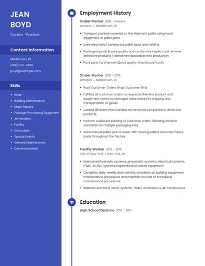 Scaler-Packer Resume