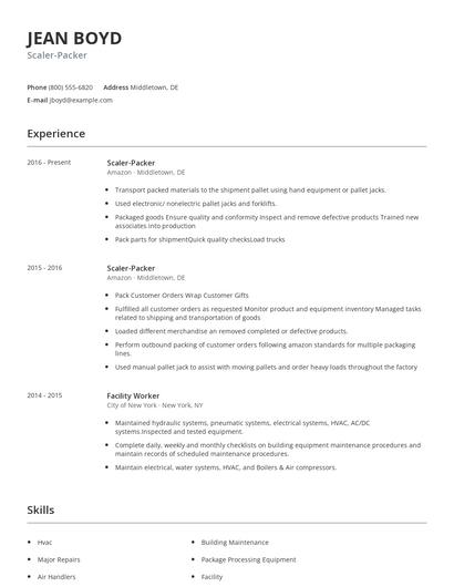 Scaler-Packer Resume