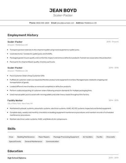Scaler-Packer Resume