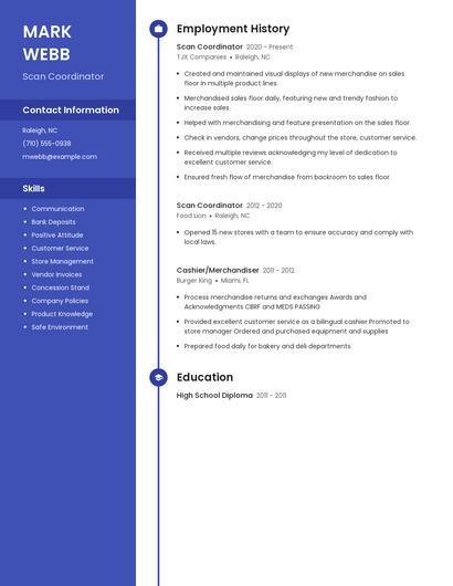 Resume example 4