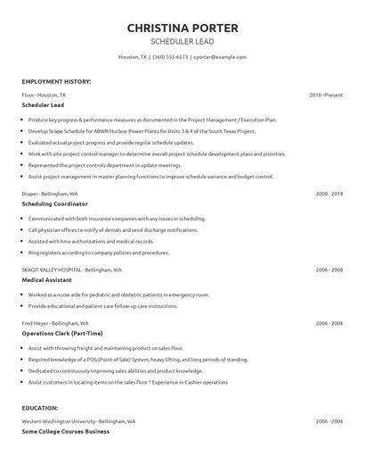 Scheduler Lead Resume