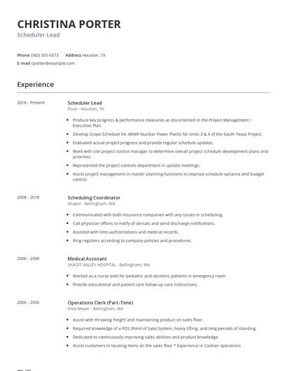 Scheduler Lead Resume