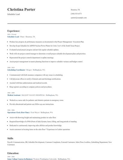 Scheduler Lead Resume