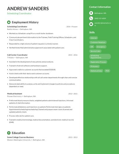 Resume example 4
