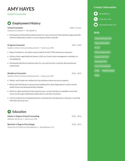 Resume example 5