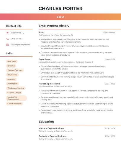 Resume example 3