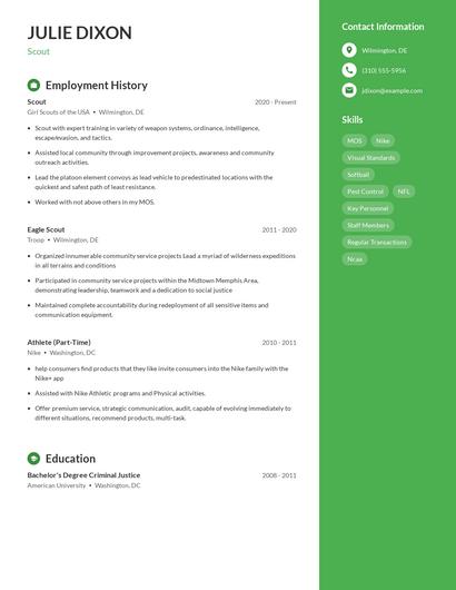 Resume example 4