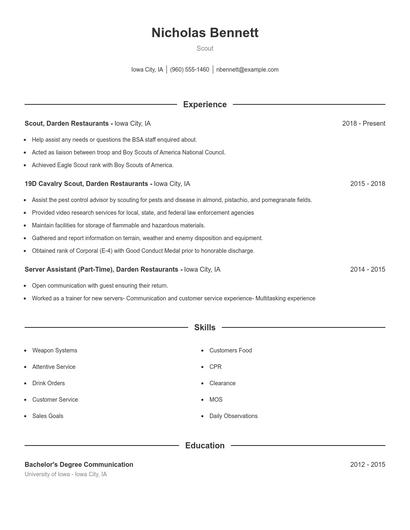 Resume example 1