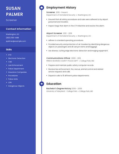 Resume example 4
